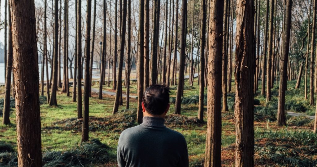 Man standing in forest - forest bathing - cortisol